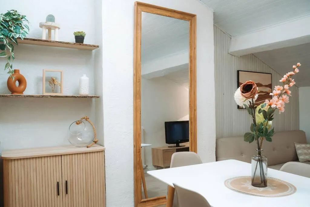 Appartement Centre Puy-En-Velay Le Puy-en-Velay 0*,