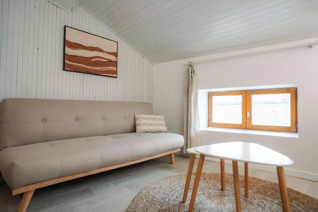 Appartement Centre Puy-En-Velay Le Puy-en-Velay Apartment