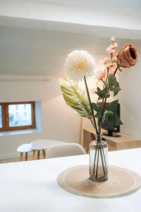 Apartment Appartement Centre Puy-En-Velay Le Puy-en-Velay