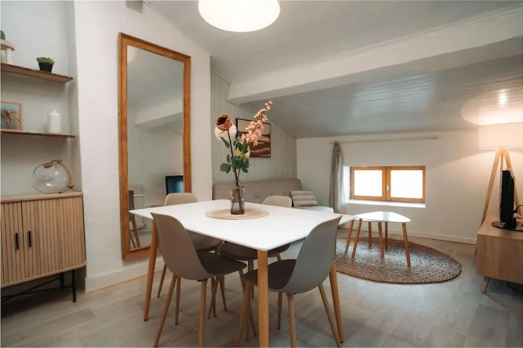 Apartment Appartement Centre Puy-En-Velay Le Puy-en-Velay France