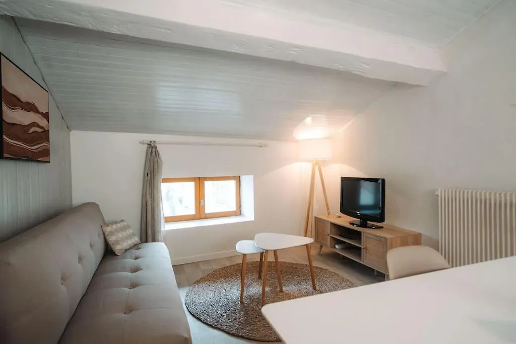 Appartement Centre Puy-En-Velay Le Puy-en-Velay Apartment