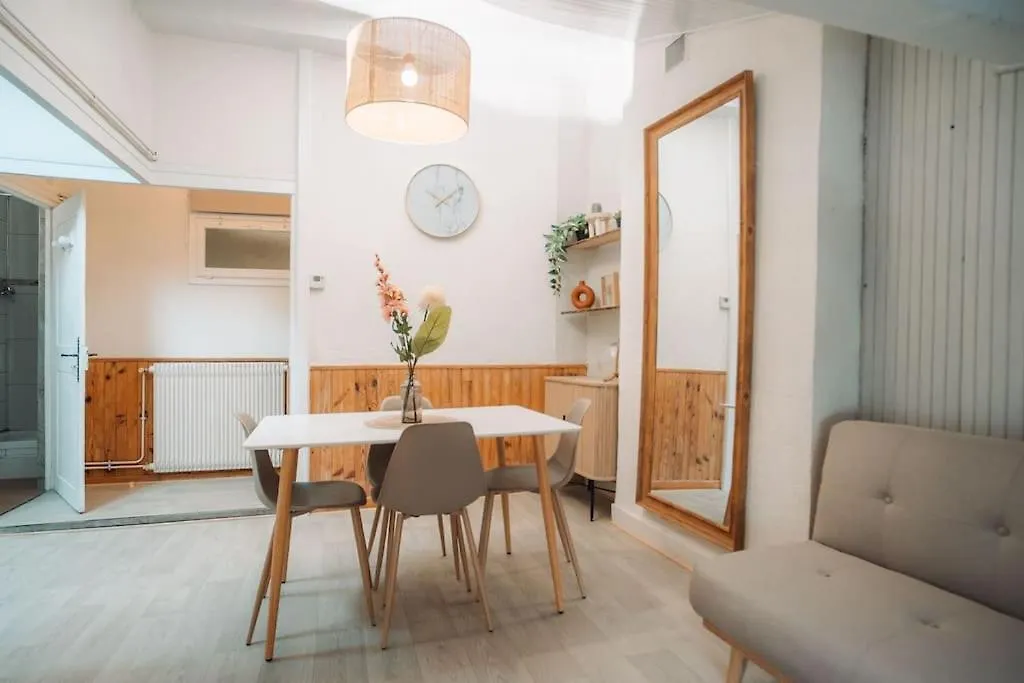 Apartment Appartement Centre Puy-En-Velay Le Puy-en-Velay