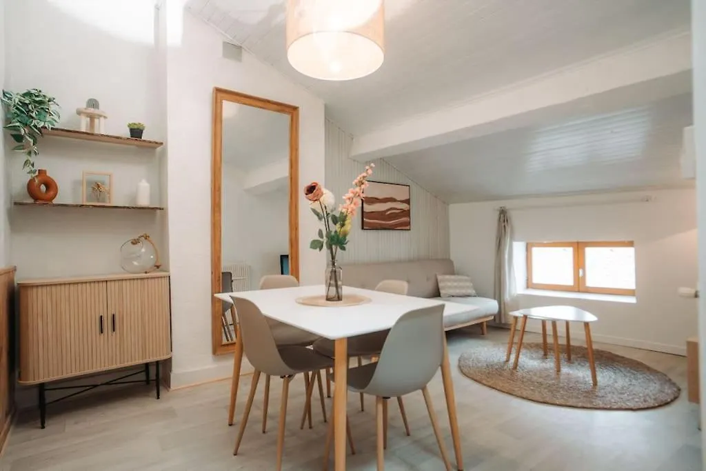 Appartamento Appartement Centre Puy-En-Velay Le Puy-en-Velay