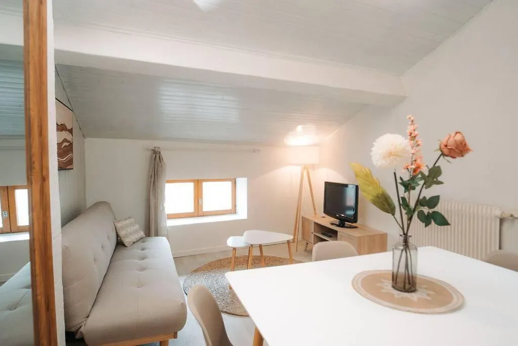 Appartamento Appartement Centre Puy-En-Velay Le Puy-en-Velay Francia